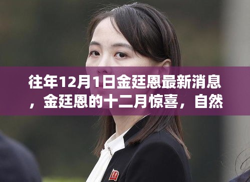 金廷恩十二月驚喜之旅，心靈啟示與自然美景的交融時(shí)刻