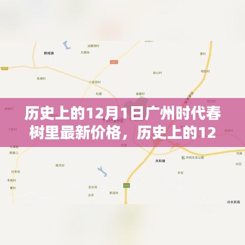 揭秘廣州時(shí)代春樹里房?jī)r(jià)動(dòng)態(tài)，歷史上的12月1日最新價(jià)格解析
