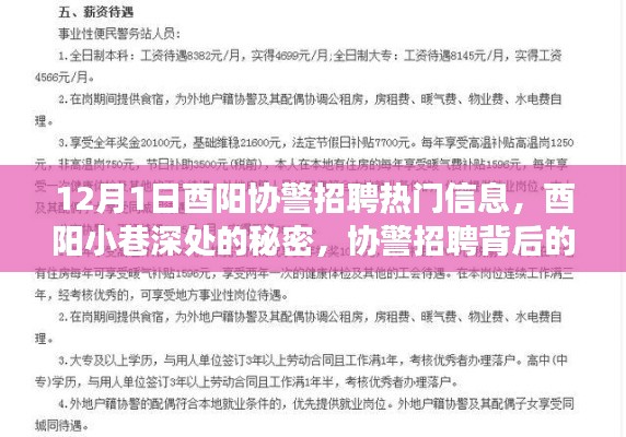 酉陽協(xié)警招聘背后的故事，小巷深處的秘密與獨特小店之旅