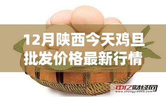 陜西今日雞蛋批發(fā)價(jià)格詳解，最新行情、查詢方法與應(yīng)對(duì)策略