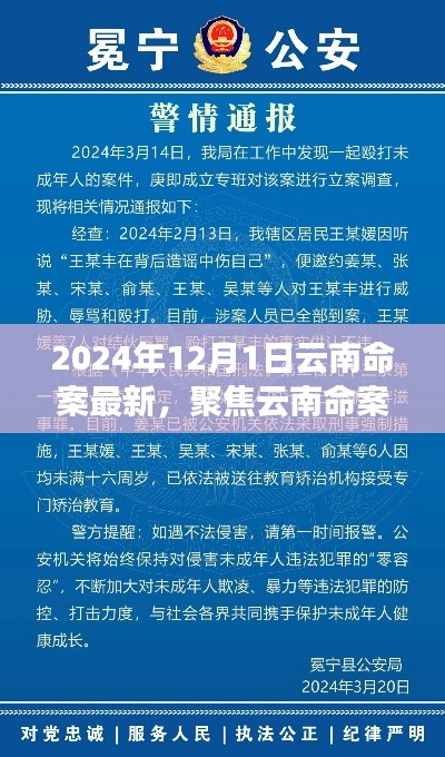 聚焦云南命案，最新進(jìn)展與深度解讀（2024年12月版）