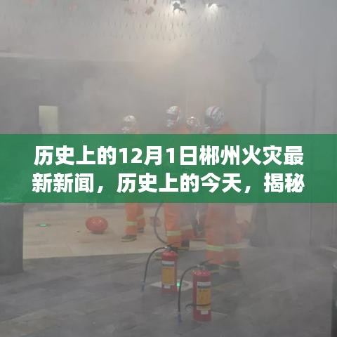 揭秘郴州火災(zāi)背后的故事，歷史上的今天回顧與最新新聞報道