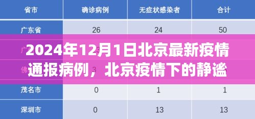 北京疫情通報(bào)病例下的靜謐之旅，自然美景的心靈之旅