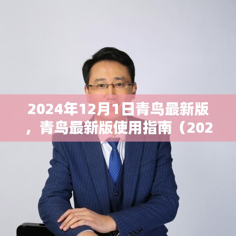 青鳥最新版使用指南（2024年12月版），初學(xué)者與進(jìn)階用戶指南共鑒
