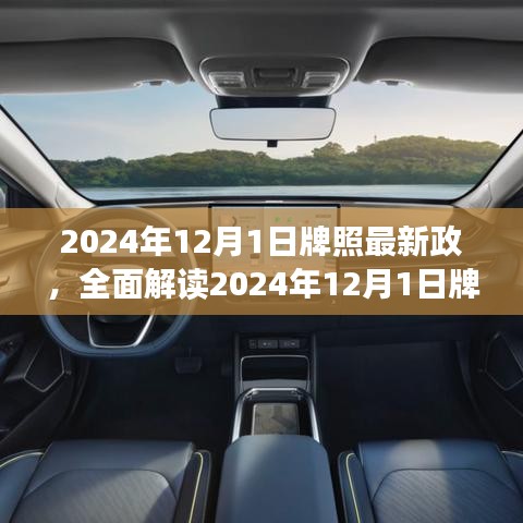 解讀2024年牌照新政，特性、體驗、競品對比及用戶群體深度分析