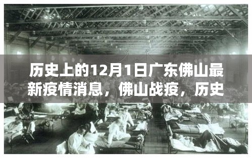 廣東佛山疫情回顧與最新動(dòng)態(tài)，歷史上的十二月一日疫情影響與戰(zhàn)疫進(jìn)展