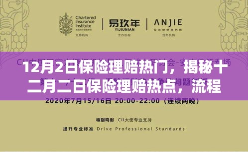 揭秘十二月二日保險(xiǎn)理賠熱點(diǎn)，流程、要點(diǎn)及注意事項(xiàng)全解析