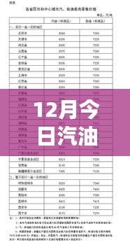 最新汽油價(jià)格分析，揭示多重因素背后的走勢(shì)與個(gè)人觀點(diǎn)