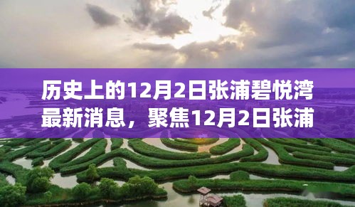 聚焦張浦碧悅灣最新動態(tài)，深度解讀12月2日新消息及其影響