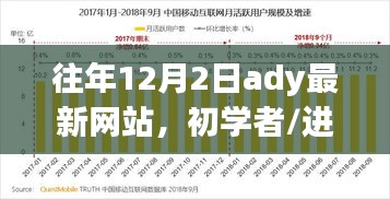 往年12月2日最新網(wǎng)站使用教程，初學(xué)者與進(jìn)階用戶指南——需注意法律風(fēng)險(xiǎn)