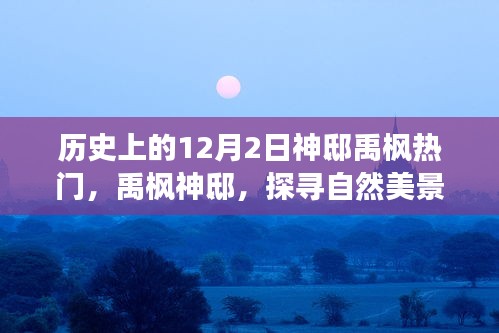 棲鳥于泉 第4頁