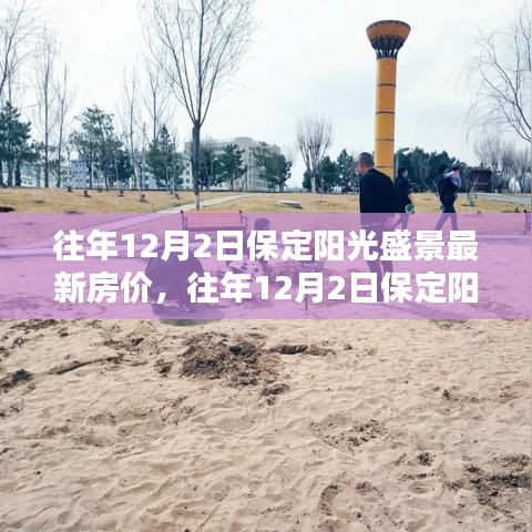 往年12月2日保定陽光盛景房價綜述及深度分析，特性、體驗、競品對比與目標用戶洞察