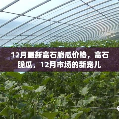 一飛沖天 第5頁