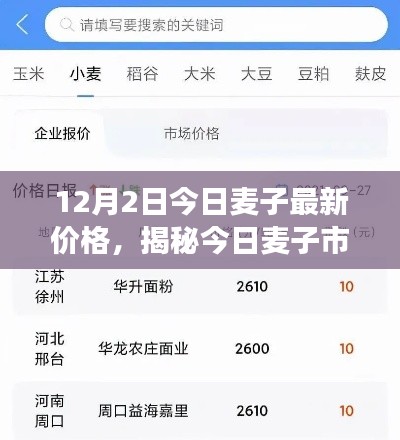 揭秘今日麥子市場，最新價格動態(tài)及市場分析（以麥子最新價格行情為例）