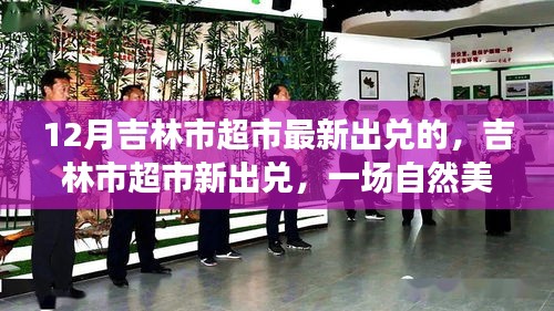 吉林市超市最新出兌，探尋自然美景，發(fā)現(xiàn)內(nèi)心寧?kù)o之美之旅