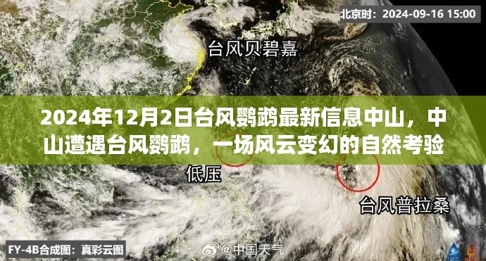 中山遭遇臺風(fēng)鸚鵡，風(fēng)云變幻的自然考驗(yàn)最新信息