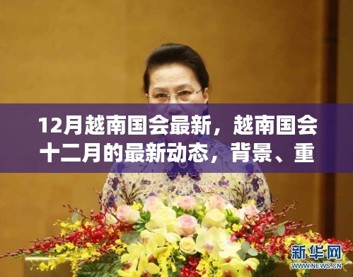 越南國會十二月最新動態(tài)，背景、重要事件與時代地位解析