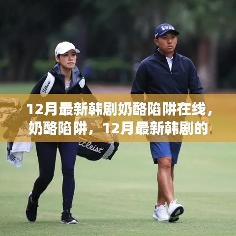12月最新韓劇奶酪陷阱在線，奶酪陷阱，12月最新韓劇的甜蜜與掙扎