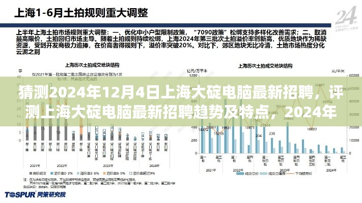 2024年12月4日上海大碇電腦最新招聘趨勢洞察與特點分析