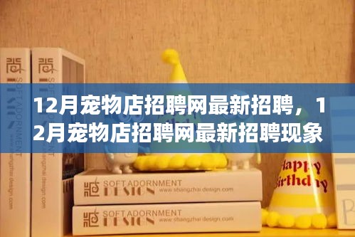 12月寵物店招聘網(wǎng)最新招聘現(xiàn)象解析，利弊探討與個人觀點