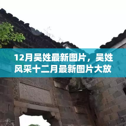 十二月吳姓風(fēng)采展示，最新圖片大放送，絕美瞬間一網(wǎng)打盡