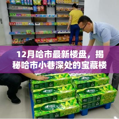 揭秘哈爾濱最新樓盤與小巷寶藏，特色樓盤與小店獨(dú)特魅力探秘