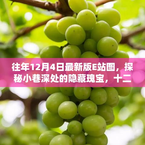 探秘十二月最新版E站圖，小巷深處的隱藏瑰寶與創(chuàng)意空間