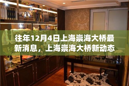 上海崇海大橋新動態(tài)，與自然美景的邂逅之旅揭秘最新消息