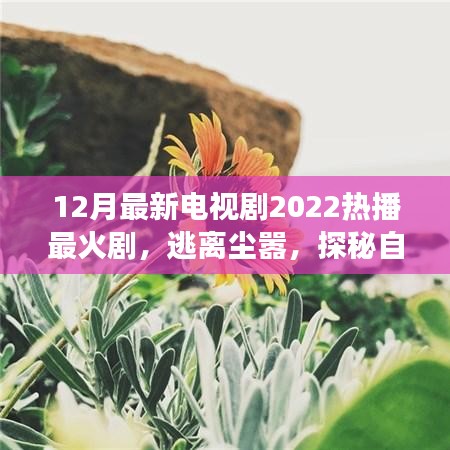 心靈之旅，逃離塵囂，探秘自然美景——2022年熱播電視劇最新盤(pán)點(diǎn)