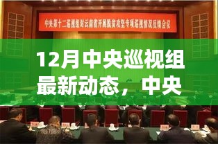 中央巡視組最新動態(tài)，深化黨內(nèi)監(jiān)督，聚焦巡視成果，以最新一輪巡視為例