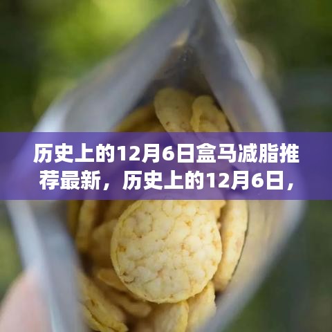 歷史上的12月6日，盒馬減脂引領健康之旅，勵志成就感的自信之旅