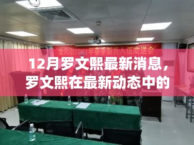 羅文熙最新動態(tài)揭秘，深度解讀與觀點闡述