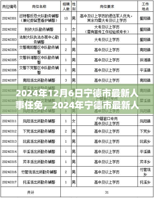 2024年寧德市人事任免信息解讀與操作指南，初學(xué)者與進(jìn)階用戶必讀