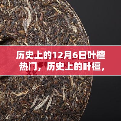 葉檀，歷史上的傳奇人物與熱門話題，12月6日的獨特印記回顧