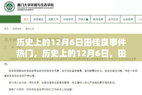 揭秘歷史上的田佳良事件，背后的故事與深遠影響