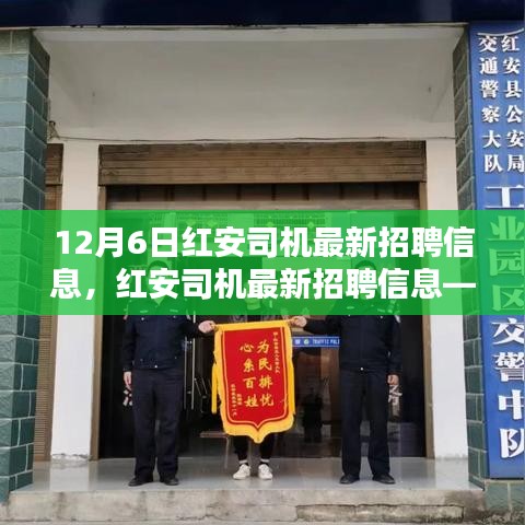 紅安司機(jī)最新招聘信息發(fā)布，求職要點(diǎn)解析與求職指南（12月6日更新）