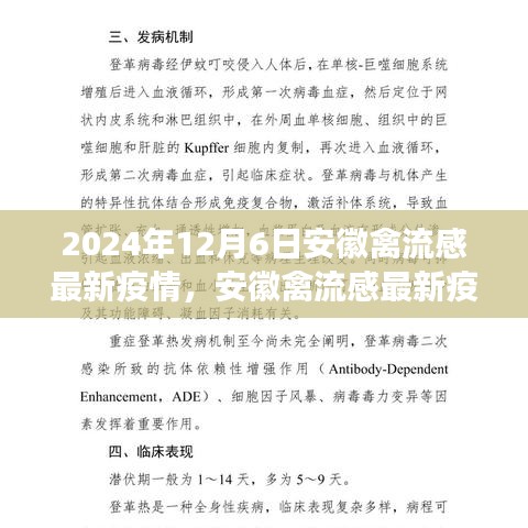 深度觀察，安徽禽流感最新疫情背景、進(jìn)展與影響分析（2024年12月6日）