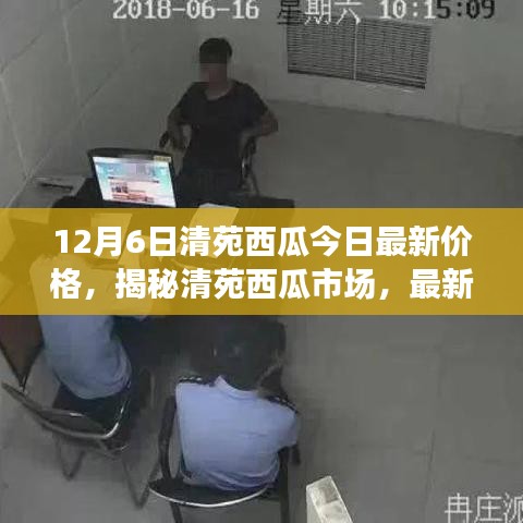 清苑西瓜最新價格動態(tài)及市場分析，揭秘市場趨勢（以12月6日數(shù)據(jù)為例）