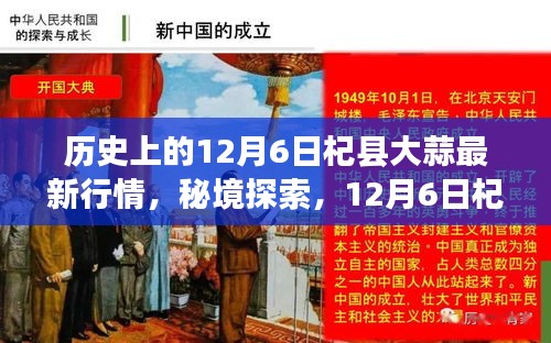 秘境探索，揭秘12月6日杞縣大蒜行情與小巷深處的蒜香特色小店