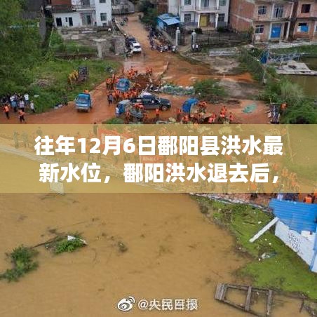 追尋內(nèi)心平靜的洪水退去之旅，鄱陽(yáng)洪水最新水位報(bào)告