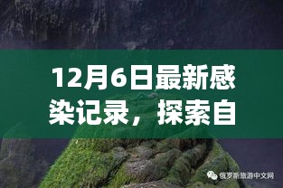 治愈感染之旅，探索自然美景與最新感染記錄揭秘