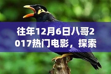 八哥帶你探索熱門電影與自然美景，找回內(nèi)心的平靜與喜悅之旅