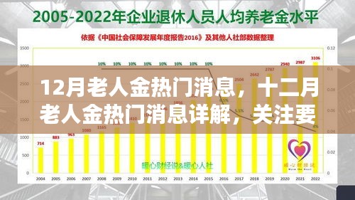 十二月老人金熱門消息詳解，關(guān)注要點、趨勢與科普全解析