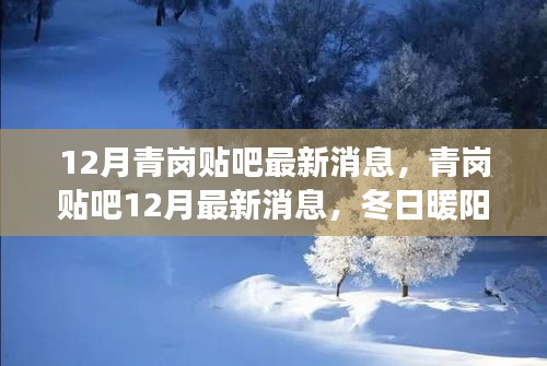 冬日暖陽下的青崗貼吧，最新消息與友情故事匯聚