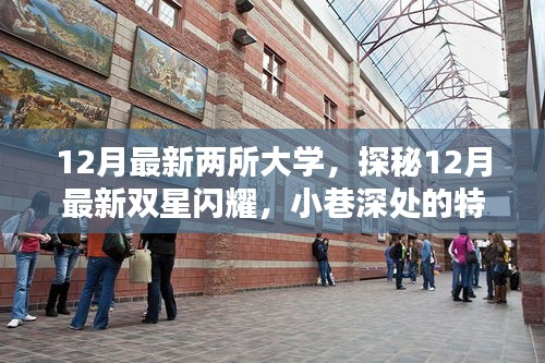 探秘最新雙星閃耀，揭秘十二月新大學(xué)與小巷特色小店中的隱藏時光