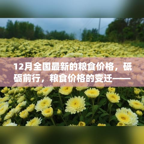 砥礪前行見證變遷，12月全國最新糧食價(jià)格及其背后的勵(lì)志故事。