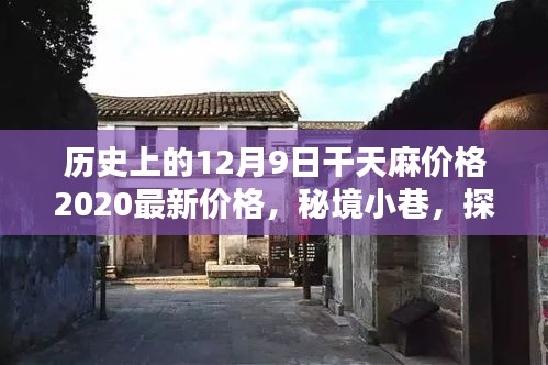 揭秘歷史麻價傳奇，探尋秘境小巷中的千年麻制品源頭與干天麻最新價格動態(tài)（XXXX年）