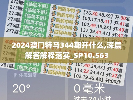 2024澳門特馬344期開(kāi)什么,深層解答解釋落實(shí)_SP10.563