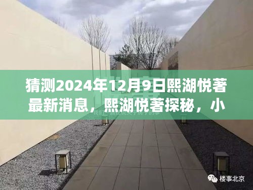 猜測2024年12月9日熙湖悅著最新消息，熙湖悅著探秘，小巷深處的獨特風味，2024年最新消息揭秘