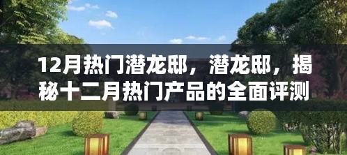 潛龍邸揭秘，十二月熱門產(chǎn)品全面評(píng)測(cè)與深度介紹